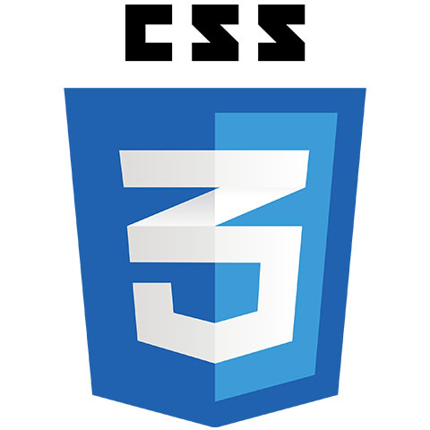 Logo officiel CSS3